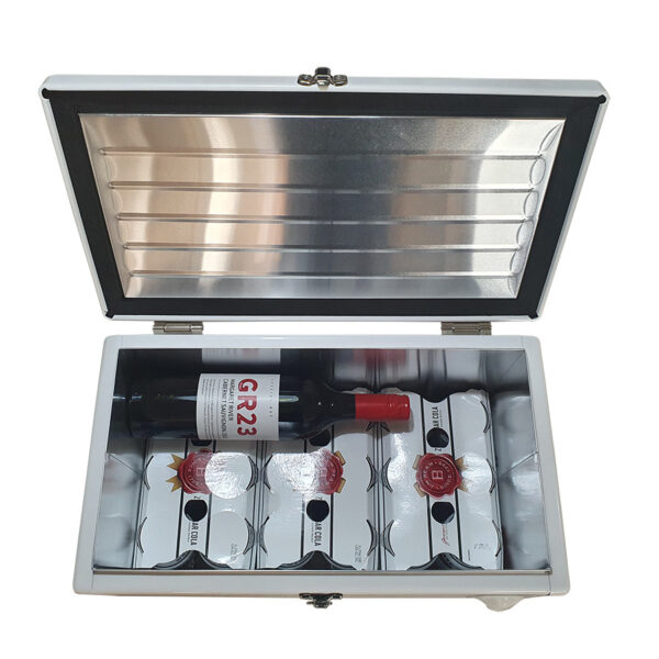 20lt Retro Esky Retro Cooler Chest showing should fit 24 cans and 2 bottles of wine
